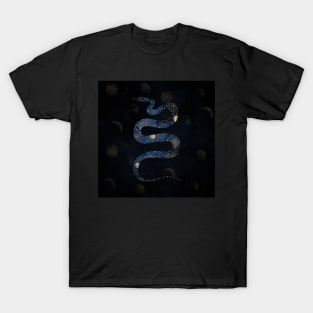 Mystical Gold Blue Serpent Galaxy Design T-Shirt